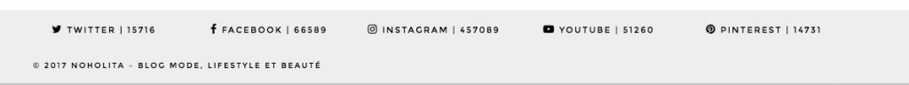 Footer du blog de Noholita